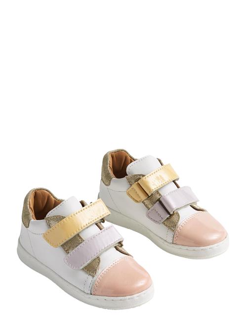 Wheat | Sneaker Velo | 31