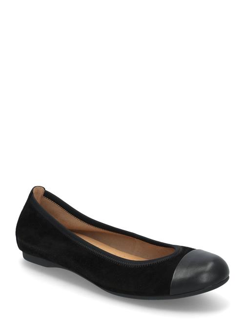 Gabor | Ballerina | 39