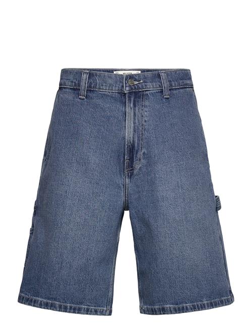 Hollister | Hco. Guys Shorts | 36