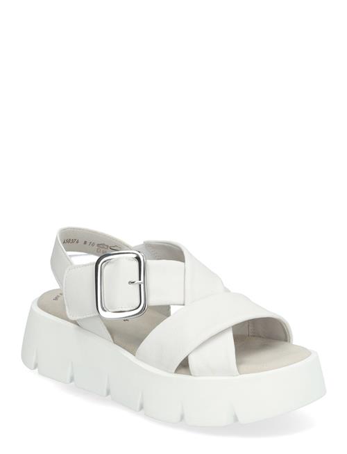 Gabor | Sandal | 42