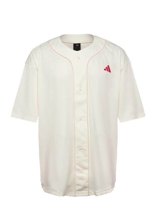 adidas Sportswear | M Sta Seas Shrt | M