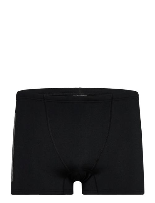adidas Performance | Ripstr Bx | L