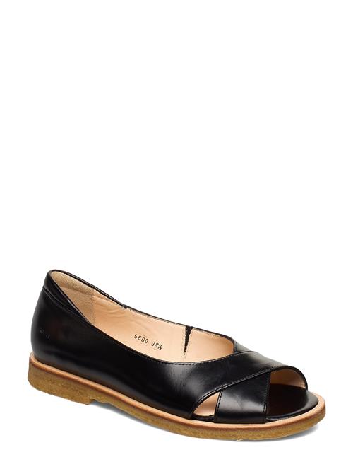 ANGULUS | Sandals - Flat - Open Toe - Clo | 37