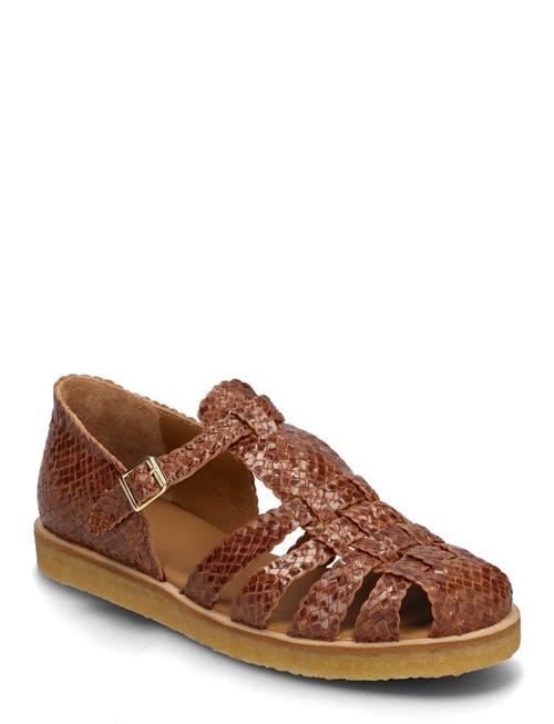 ANGULUS | Sandals - Flat  - Closed Toe | 38.5