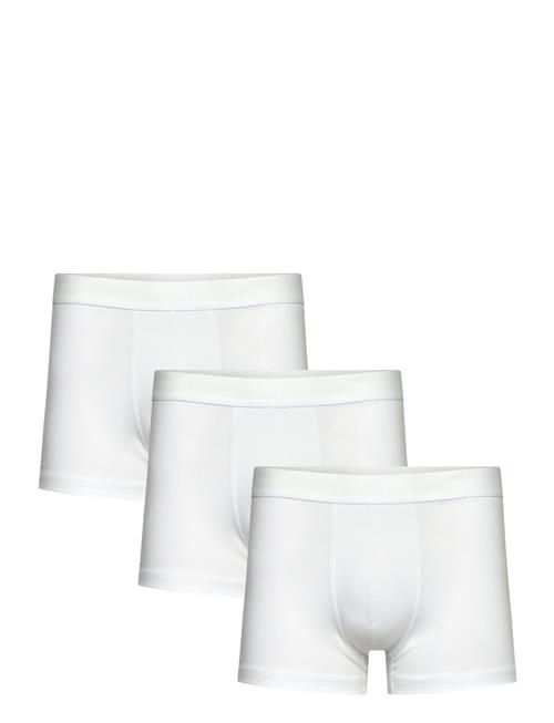 Bread & Boxers | 3-Pack Trunk | M