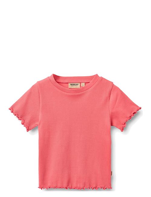 Wheat | Rib T-Shirt S/S Alicia | 104