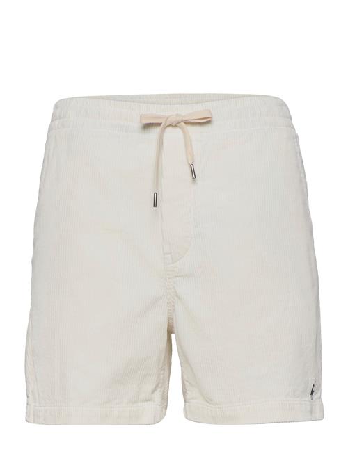 Polo Ralph Lauren | Classic Fit Prepster Short | XL