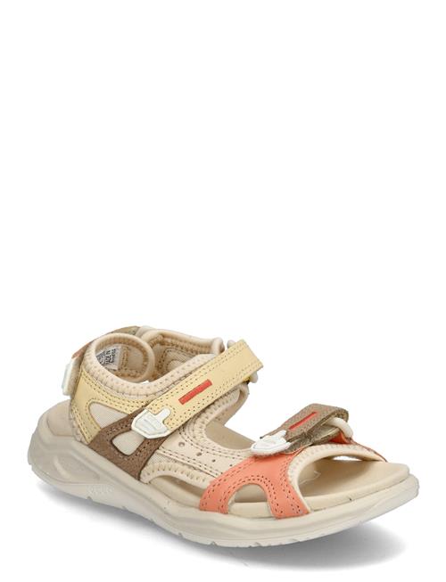 ECCO | X-Trinsic K | 33