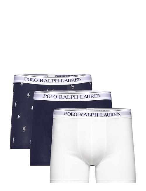 Polo Ralph Lauren | Bci Cotton/Elastane-3Pk-Bxb | L
