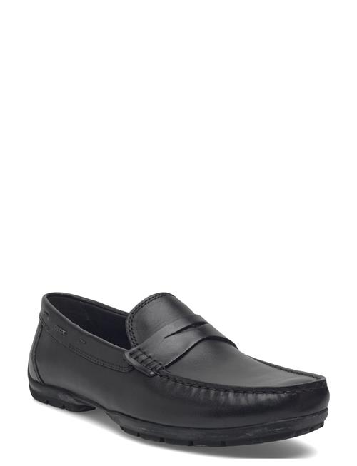 GEOX | U Moner W 2Fit D | 43