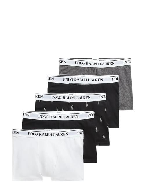 Polo Ralph Lauren | Bci Cotton/Elastane-5Pk-Trn | L