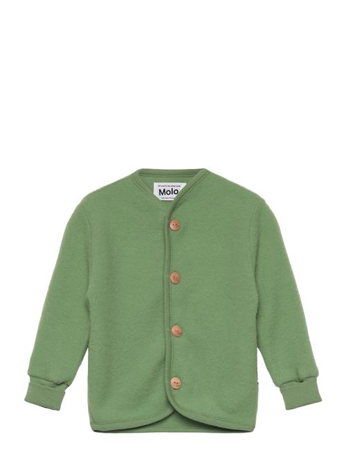 Molo | Umber | 68
