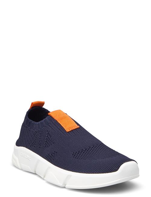 GEOX | J Aril Boy A | 30