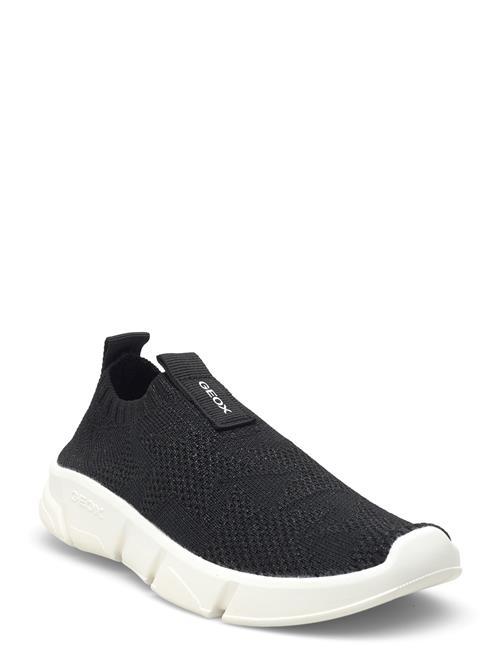 GEOX | J Aril Girl E | 34