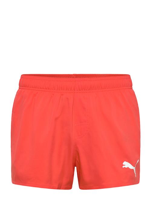 Puma Swim | Puma Swim Men Short Shorts 1P | L