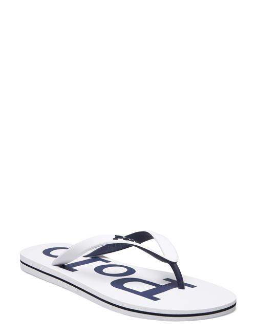 Polo Ralph Lauren | Bolt Logo Flip-Flop | 42