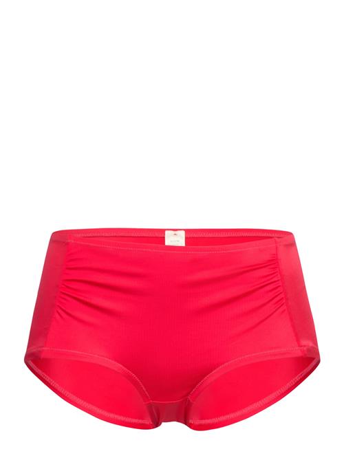 Dorina | Fiji/Eco Hipster_Classic | L