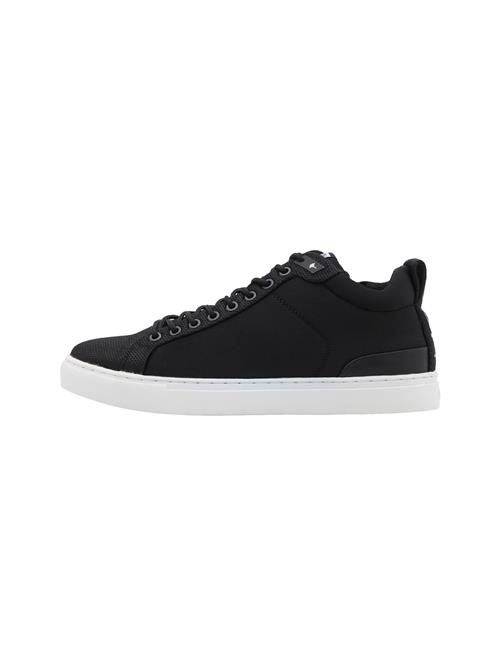 JOOP! Sneaker low 'Pano Coralie'  sort