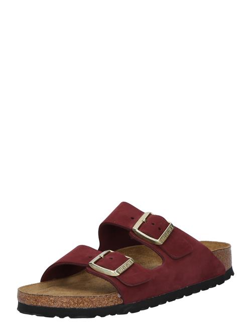 BIRKENSTOCK Pantoletter 'Arizona'  mørkebrun / vinrød