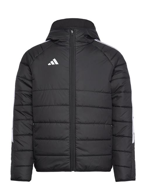 adidas Performance | Tiro24 Wint Jkt | XL