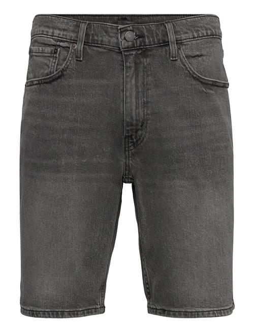 Levi's® | 445 Athletic Shorts Down To My | 31