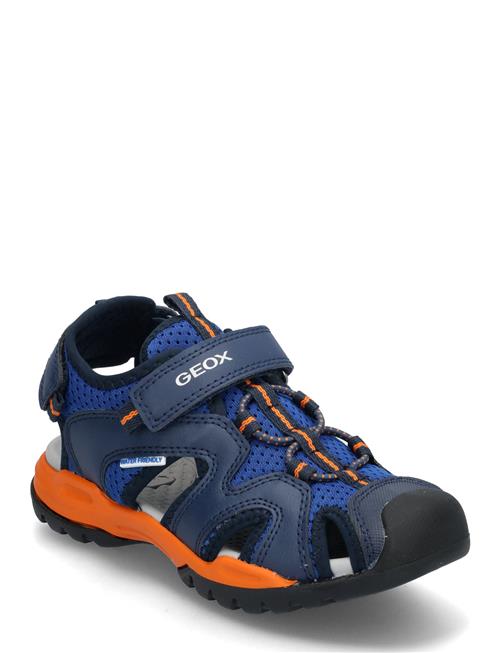 GEOX | J Borealis Boy C | 29
