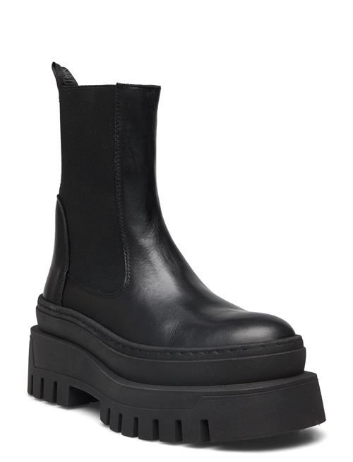 Steve Madden | Cassandra | 41