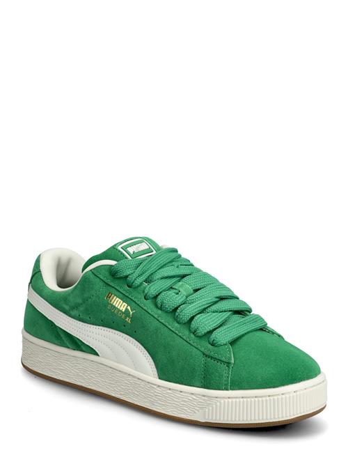 PUMA | Suede Xl | 43