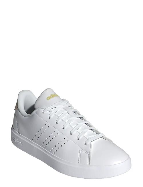 adidas Sportswear | Advantage 2.0 | 42
