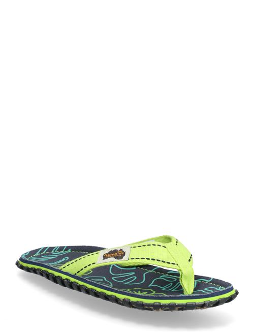 Gumbies | Islander | 43