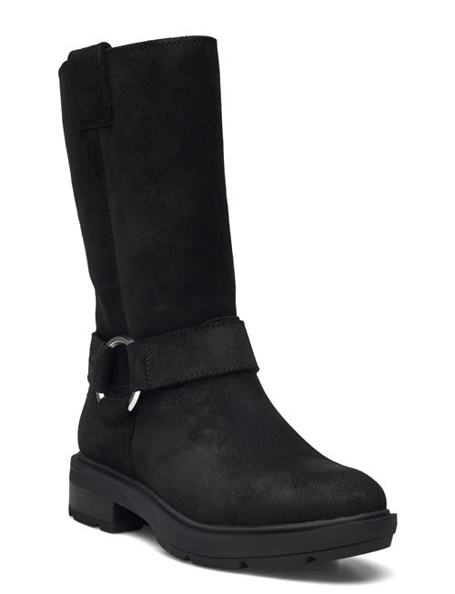 Timberland | Brimfield Tall Pull On Boot Black Suede | 38