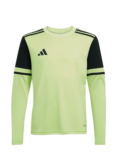 adidas Performance | Squa25 Gk Jsyly | 176