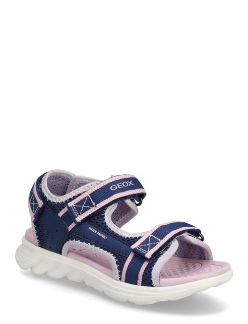 GEOX | J Sandal Airadyum Gi | 35