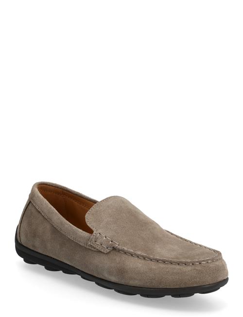 GEOX | U Spherica Ec16 A | 42