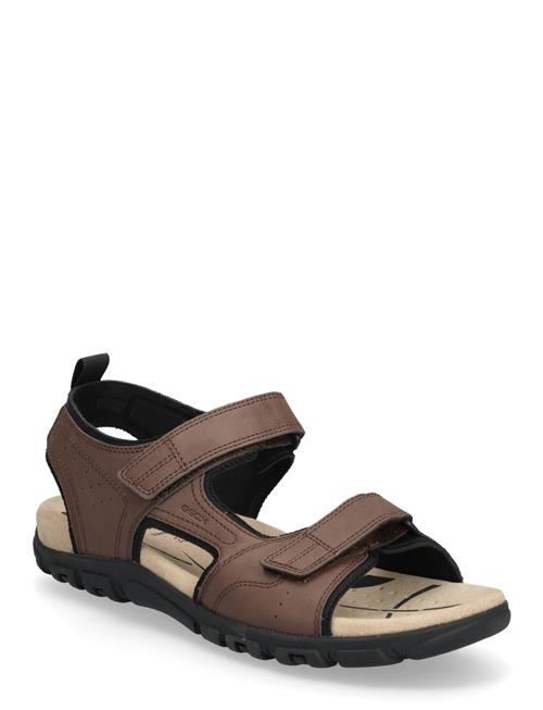 GEOX | Uomo Sandal Strada B | 42
