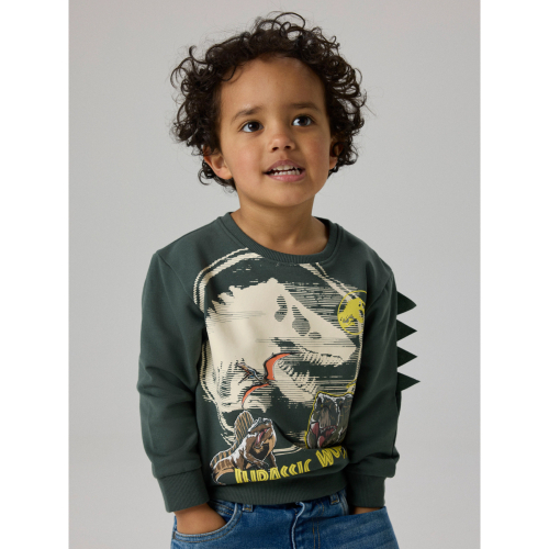 NAME IT Jurassic World Jal Sweatshirt Urban Chic
