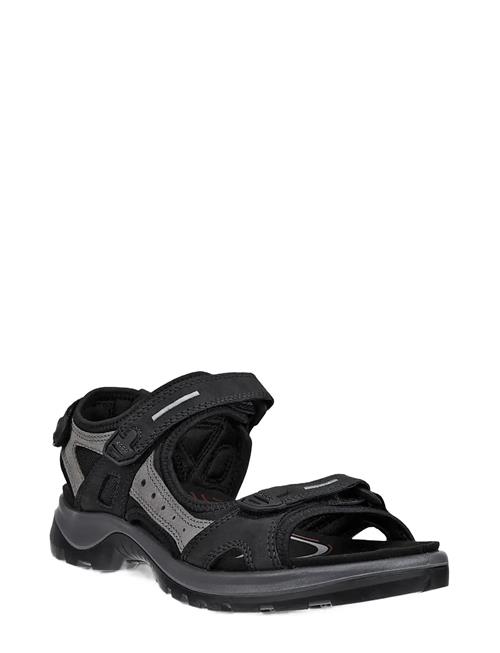 ECCO | Offroad | 42