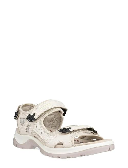ECCO | Offroad | 36