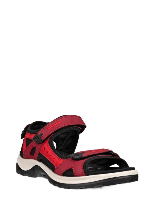ECCO | Offroad | 42