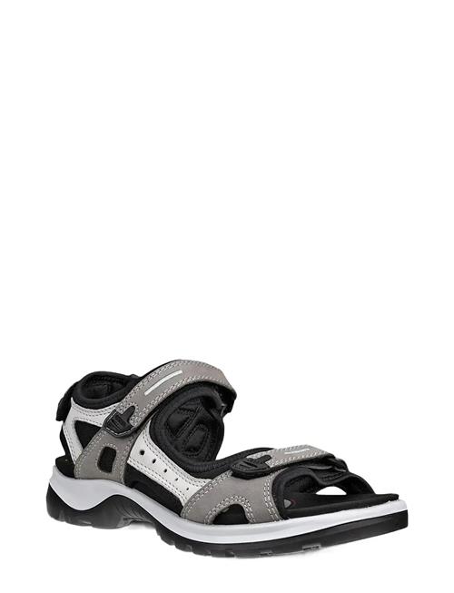ECCO | Offroad | 42