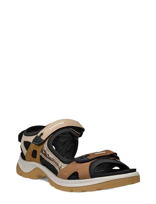 ECCO | Offroad | 42