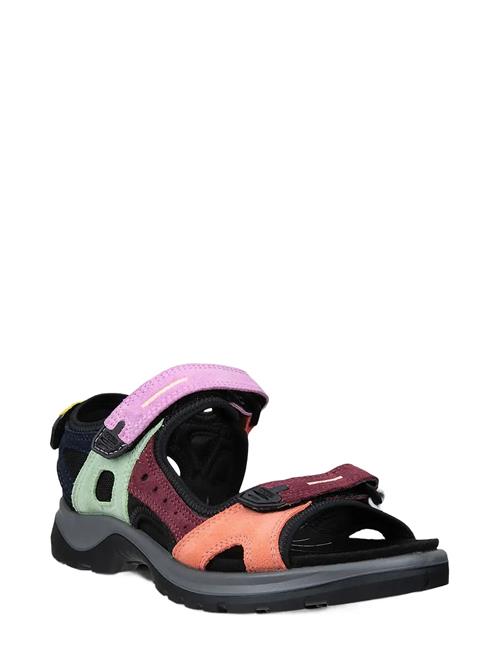 ECCO | Offroad | 40