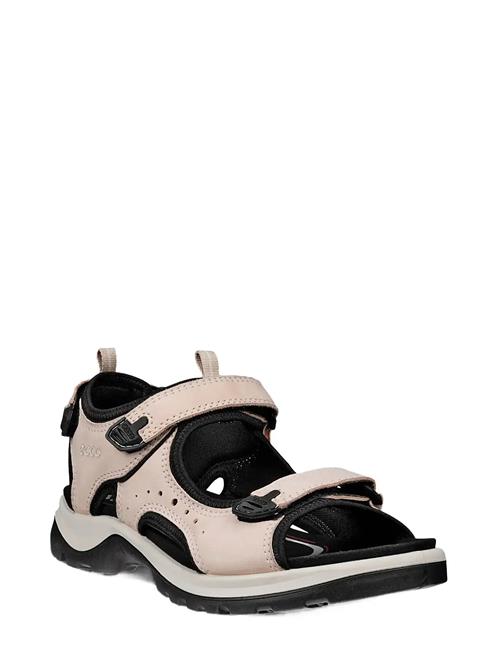 ECCO | Offroad | 36