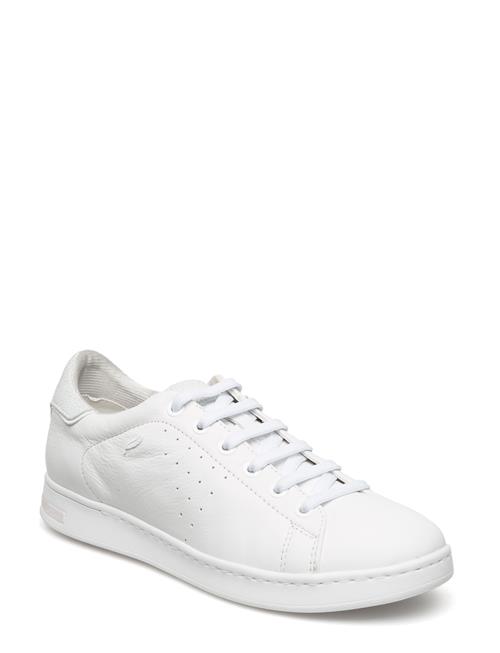 GEOX | D Jaysen A | 38
