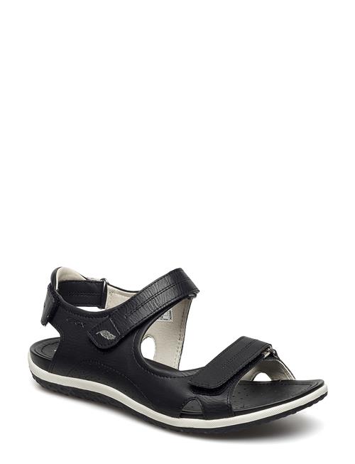 GEOX | D Sandal Vega A | 36