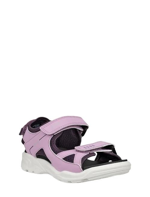 ECCO | Biom Raft | 37