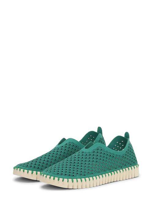Ilse Jacobsen | Flats | 41
