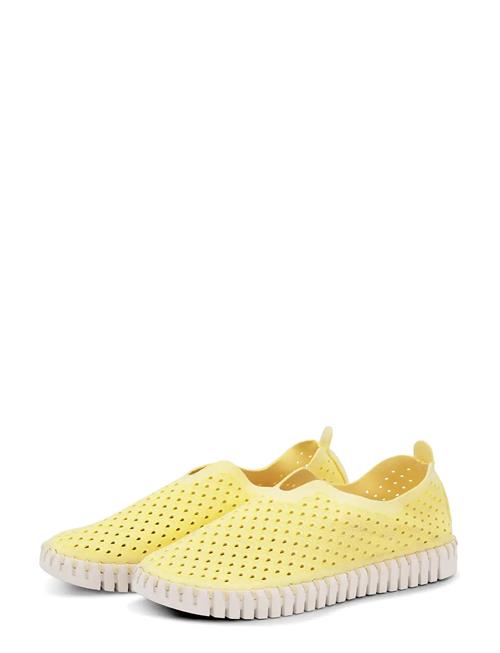 Ilse Jacobsen | Tulip Slip-In | 41