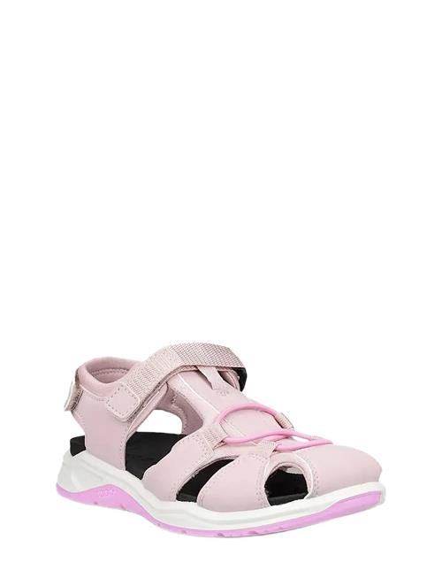 ECCO | X-Trinsic K | 25