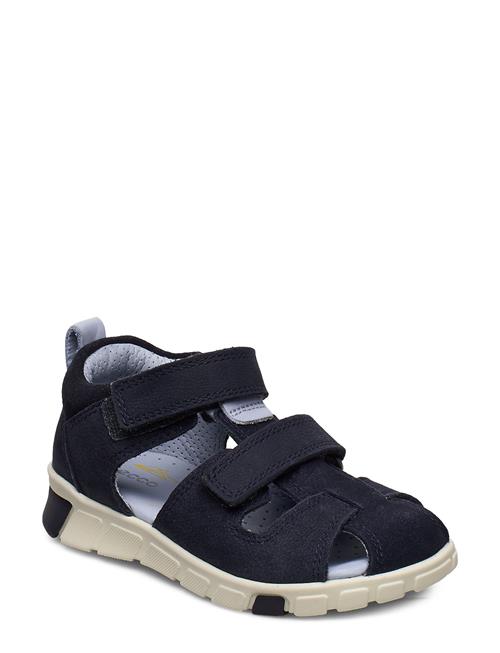 ECCO | Mini Stride Sandal | 24